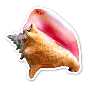 import placeholder for 38605