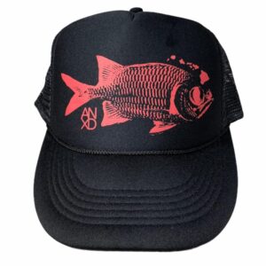 import placeholder for 30375