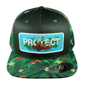 import placeholder for 42877