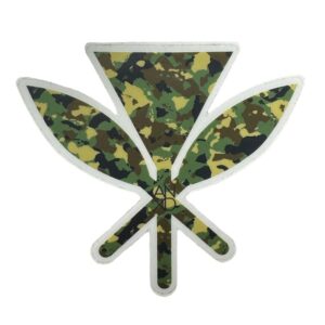 import placeholder for 31888
