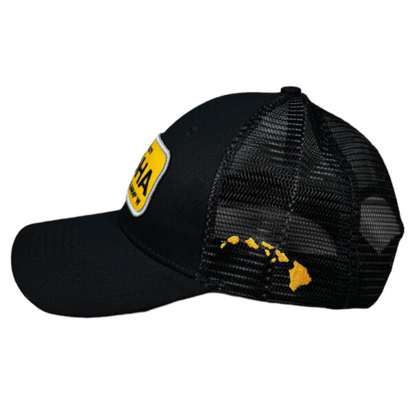 anxd pure aloha patch/ black curved mesh snapback