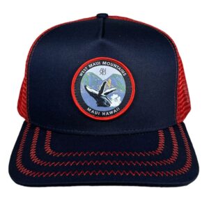 import placeholder for 31999