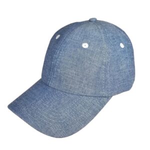 Baby Blue Denim Dad Hat