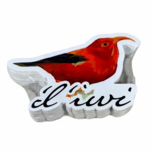 import placeholder for 30440