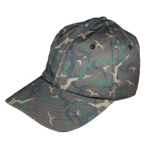 Iwa Camo Dad Hat