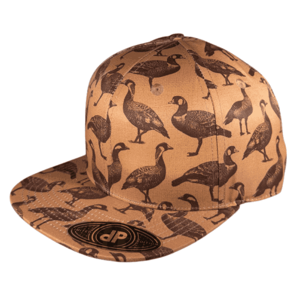 import placeholder for 44343