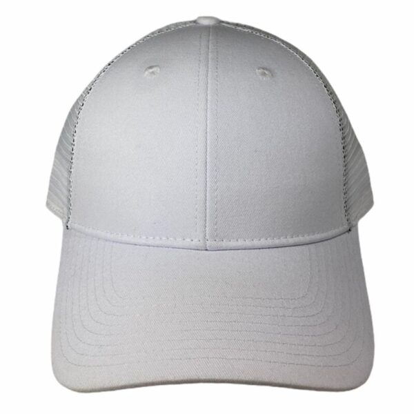 the white curved mesh snapback hat