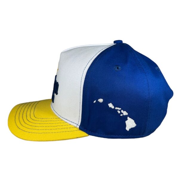 anxd aloha extra mid curve snapback hat