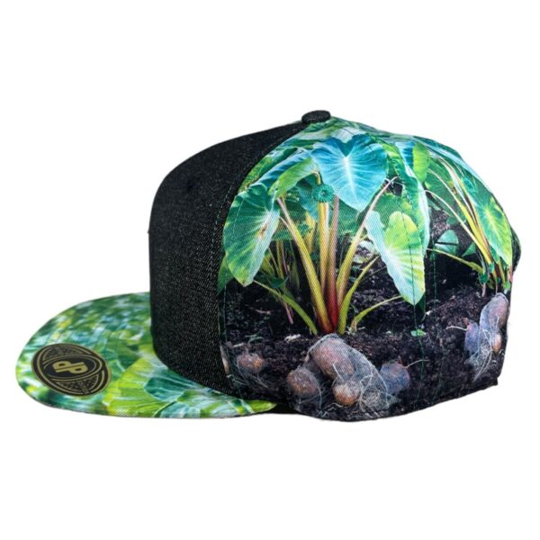 the kalo rootz package